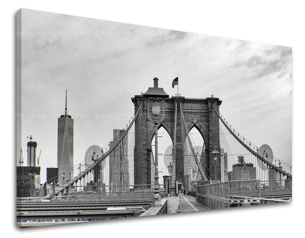 Obraz na stěnu MESTO / NEW YORK ME114E11