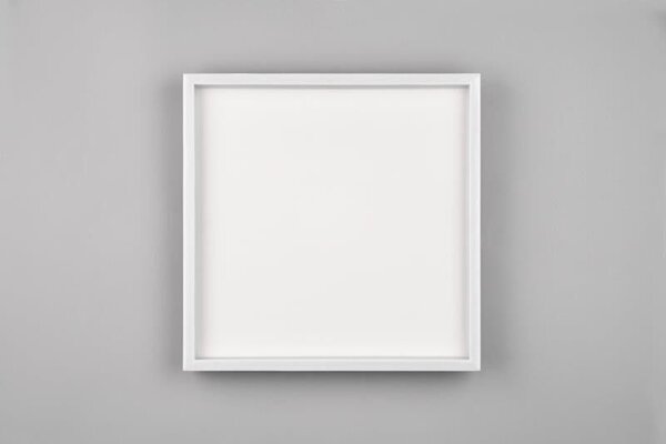 TRIO Reality R64502931 ROTONDA stropní svítidlo SMD LED 350x350mm 20W/2600lm 3000K bílá matná
