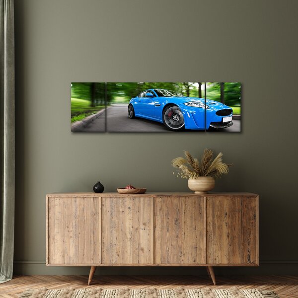 Obraz - Závodní auto (170x50 cm)