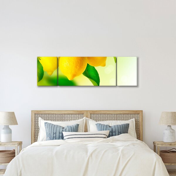 Obraz citrónů (170x50 cm)