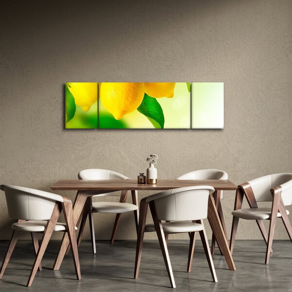 Obraz citrónů (170x50 cm)