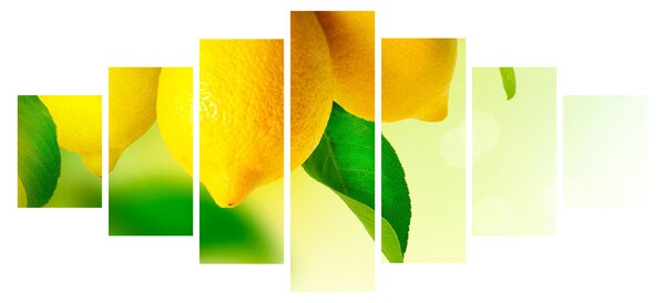 Obraz citrónů (210x100 cm)