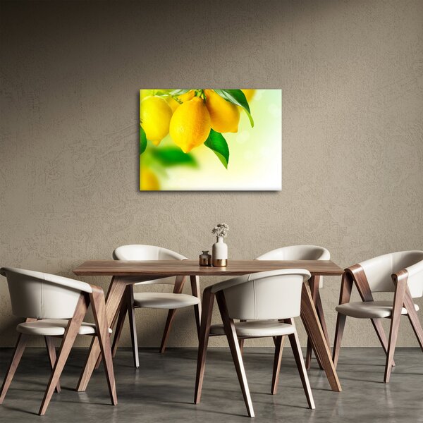 Obraz citrónů (70x50 cm)