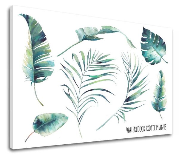 Obraz na zeď s textem Watercolor exotic plants