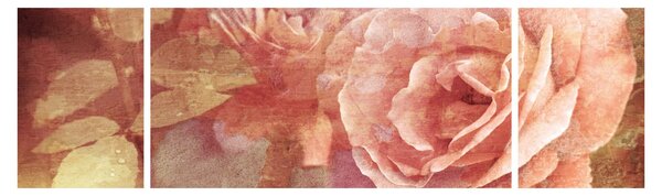 Obraz růží (170x50 cm)