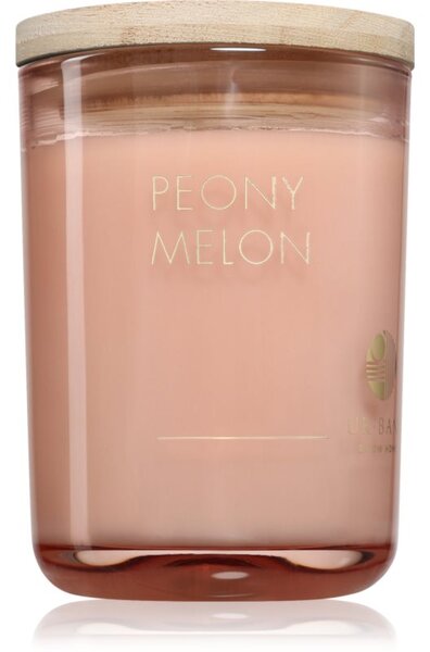 DW Home Ur•Bane Peony Melon vonná svíčka 215 g