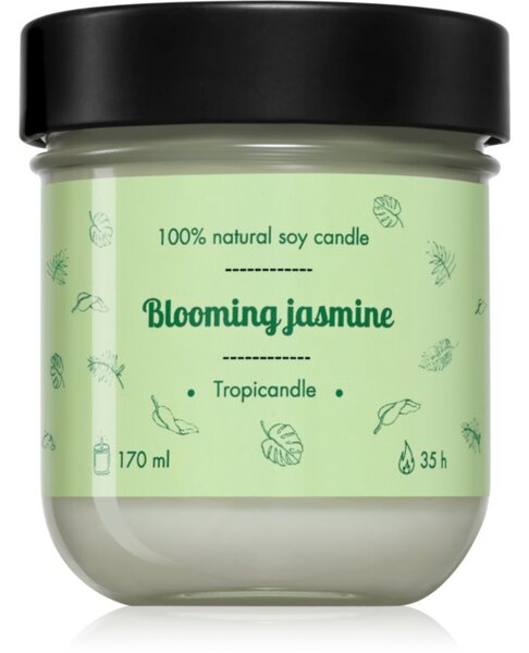 Tropicandle Green Tea vonná svíčka 170 ml