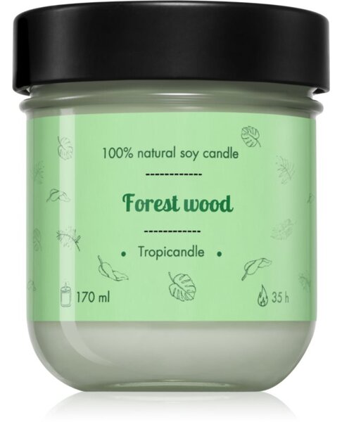 Tropicandle Forest Wood vonná svíčka 170 ml