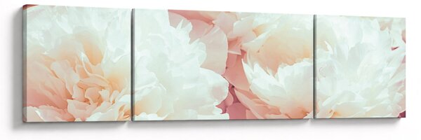 Obraz květů (170x50 cm)
