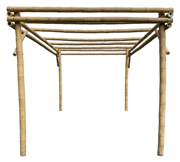 Guadua Pergola 2 m x 3 m (Bambus)