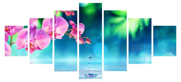 Obraz - Orchidej (210x100 cm)