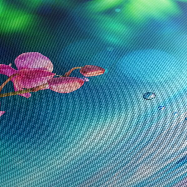 Obraz - Orchidej (30x30 cm)