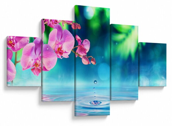 Obraz - Orchidej (125x70 cm)