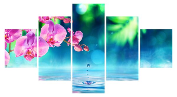 Obraz - Orchidej (125x70 cm)
