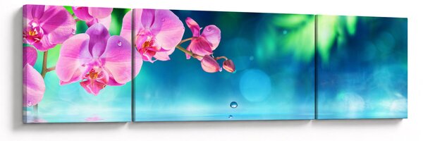 Obraz - Orchidej (170x50 cm)