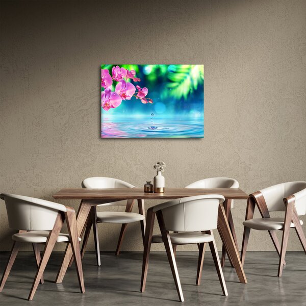 Obraz - Orchidej (70x50 cm)