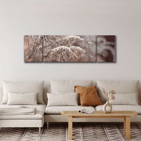 Obraz rostlin (170x50 cm)