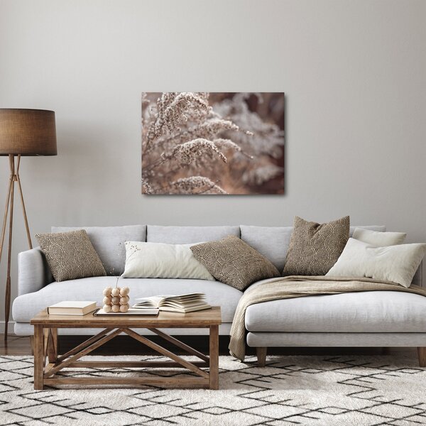 Obraz rostlin (70x50 cm)