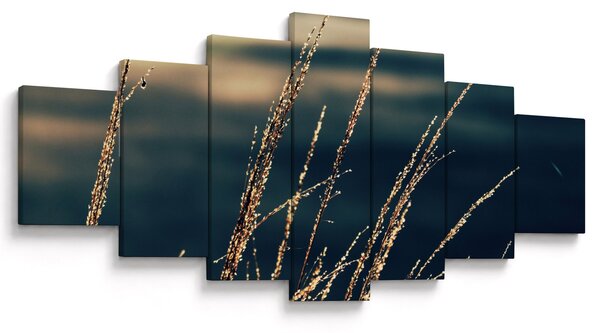 Obraz travin (210x100 cm)