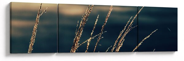 Obraz travin (170x50 cm)