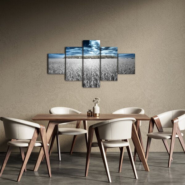 Obraz pole (125x70 cm)