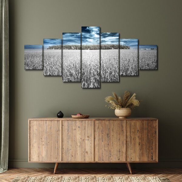 Obraz pole (210x100 cm)