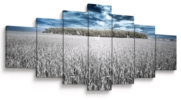 Obraz pole (210x100 cm)