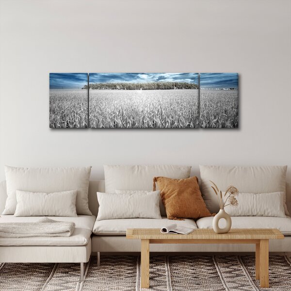 Obraz pole (170x50 cm)