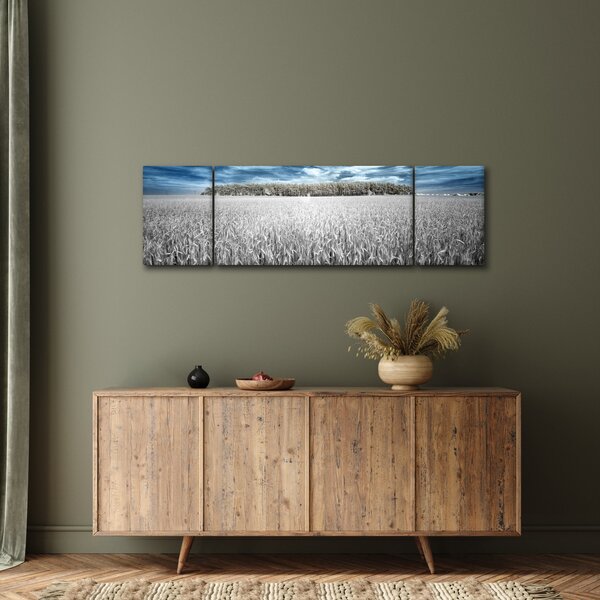 Obraz pole (170x50 cm)