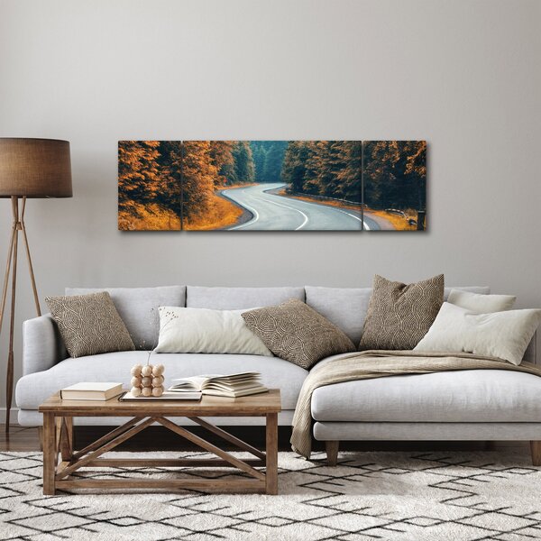 Obraz - Klikatící se silnice (170x50 cm)