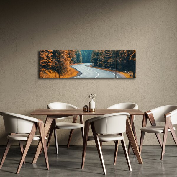 Obraz - Klikatící se silnice (170x50 cm)