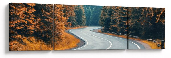 Obraz - Klikatící se silnice (170x50 cm)