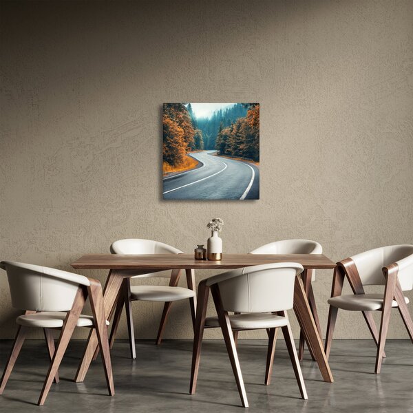 Obraz - Klikatící se silnice (30x30 cm)