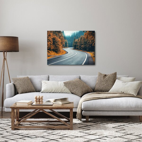Obraz - Klikatící se silnice (70x50 cm)