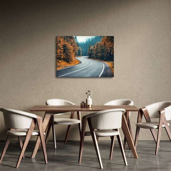 Obraz - Klikatící se silnice (70x50 cm)