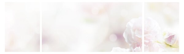 Obraz něžných květů (170x50 cm)