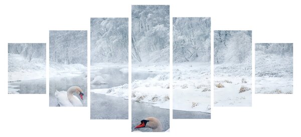 Obraz labutí (210x100 cm)