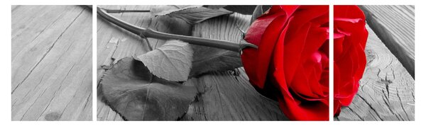 Obraz rudé růže (170x50 cm)