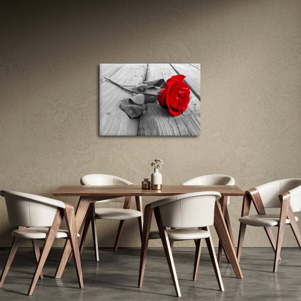 Obraz rudé růže (70x50 cm)