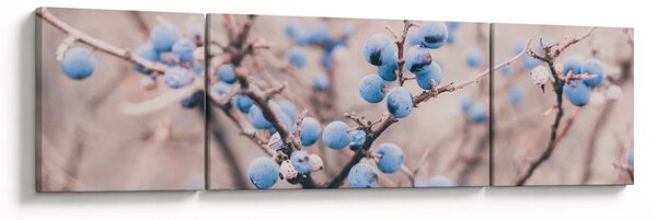 Obraz bobulí na keři (170x50 cm)