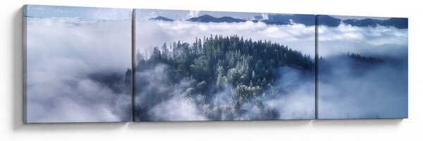 Obraz lesa v mlze (170x50 cm)