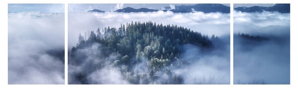 Obraz lesa v mlze (170x50 cm)