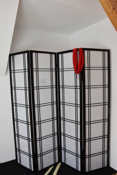 Vingo Paraván černý, 132 x 180 cm Rozměry (cm): 132x2, v. 180