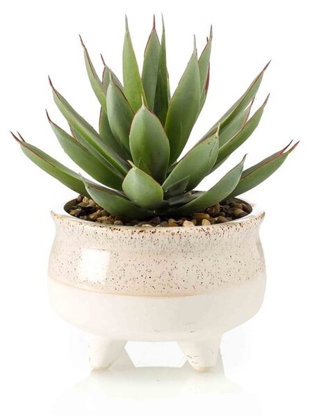 Umělý kaktus Echeveria v květináči, 20cm