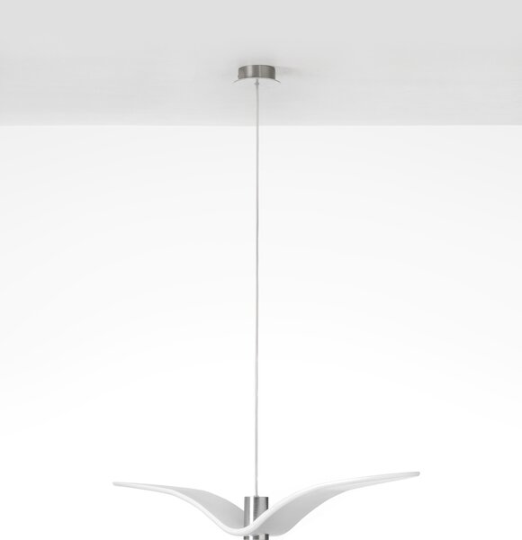 Designové závěsné svítidlo Brokis Night Birds PC962 Povrch Montury: Stříbrný elox, Barva skla: Šedá kouřová - masiv, Povrch baldachýnu: kov - černý matný komaxit