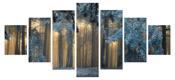 Obraz zasněženého lesa (210x100 cm)