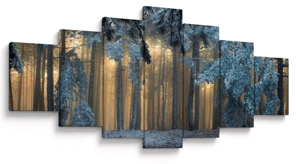 Obraz zasněženého lesa (210x100 cm)