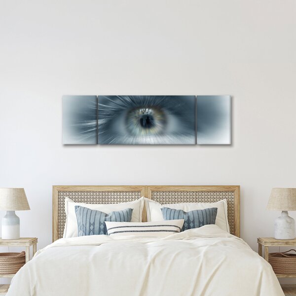 Obraz - Pohled oka (170x50 cm)