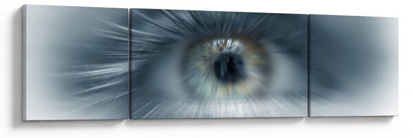 Obraz - Pohled oka (170x50 cm)