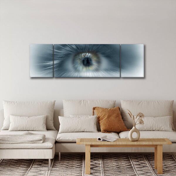 Obraz - Pohled oka (170x50 cm)